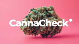 Preisvergleich: Medizinisches Cannabis, Preise vergleichen, sparen - CannaCheck