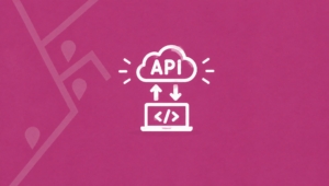 API und Entwickler: ApoGuru Tool in eigene Shop-Prozesse einbinden