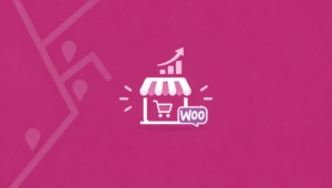 ApoGuru Tool für WooCommerce: Plugin installieren und Partner-ID eintragen